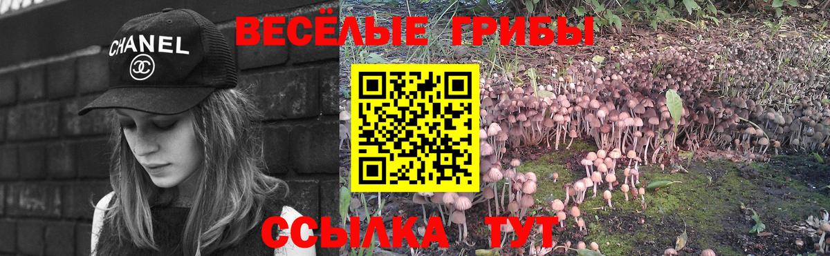 Галлюциногенные грибы ЛСД  Вход с VPN  Пенза 