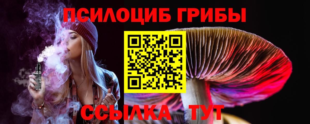 Псилоцибиновые грибы ЛСД Пенза